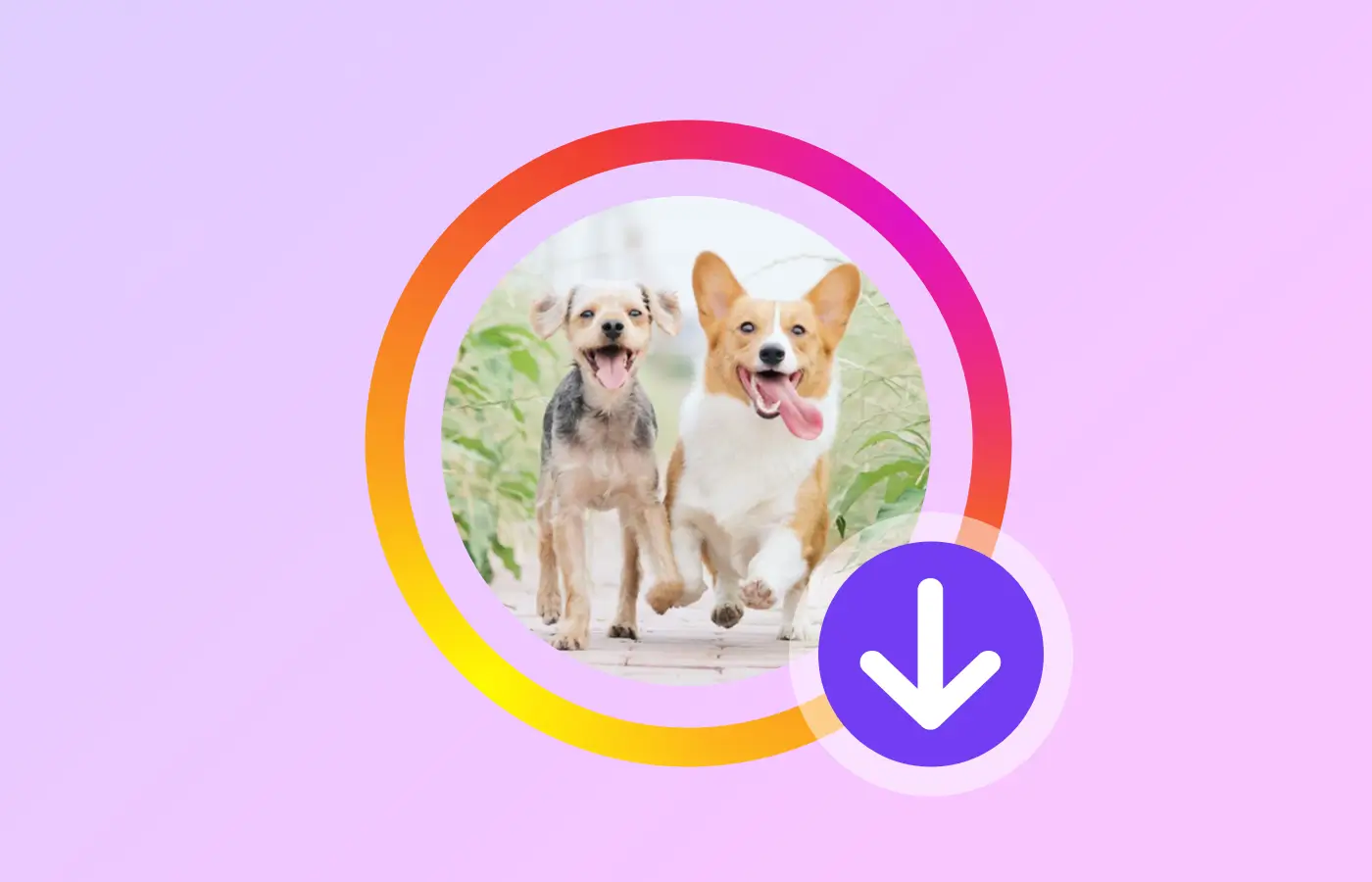 Save Stories & Highlights